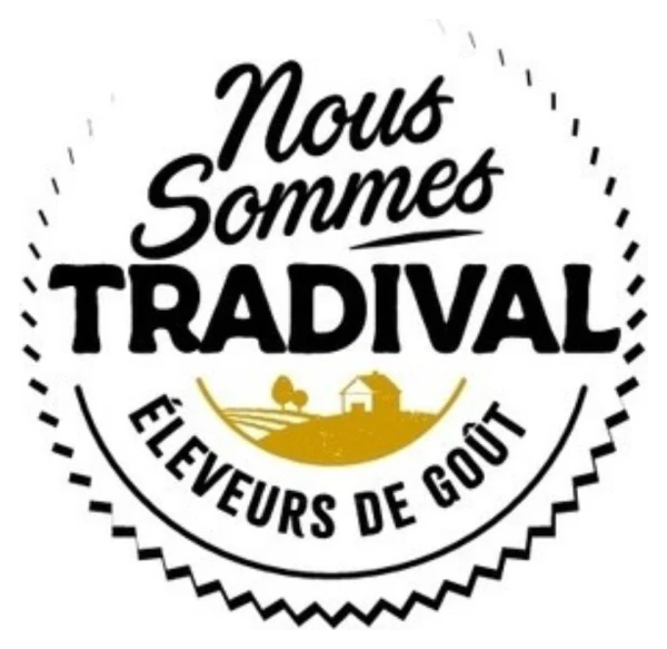 Logo Tradival