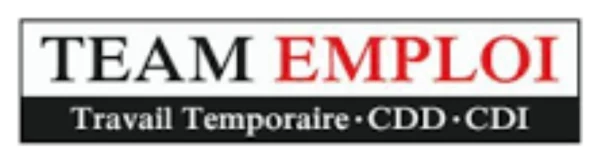 Logo Team Emploi Sens
